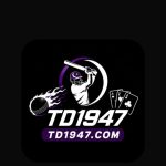TD1947 Game